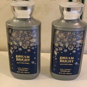Bath & Body Works Silver Shower Gel with Aloe and Vitamin E  Dream Bright scent💙